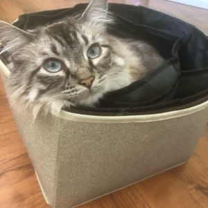 💥🔮MAKE OFFERS🔮💥